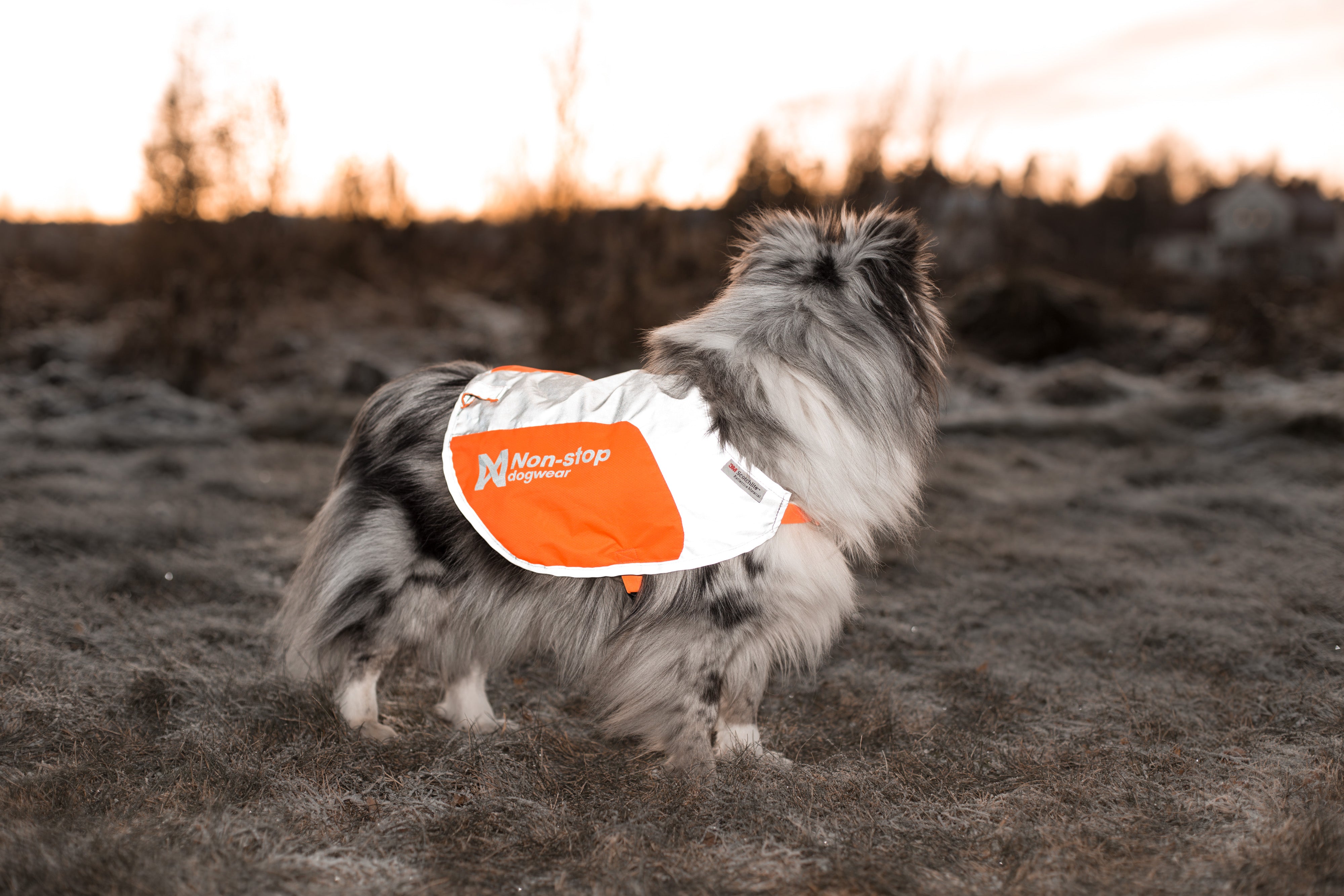 Reflection blanket (Non - Stop Dogwear) - SnowPaw Store - Non - Stop Dogwear - Dog Coats