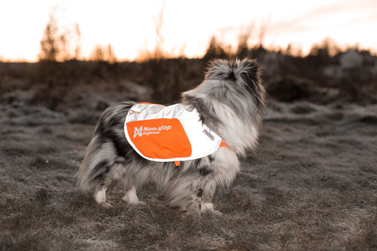 Reflection blanket (Non - Stop Dogwear) - SnowPaw Store - Non - Stop Dogwear - Dog Coats