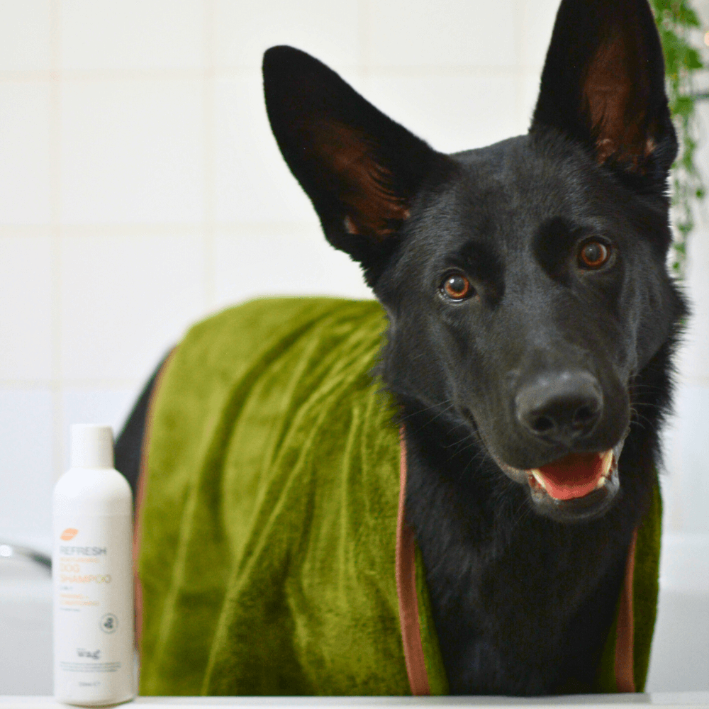 Refresh Cleaning Towel (Henry Wag) - SnowPaw Store - Henry Wag - Active Dog Gear