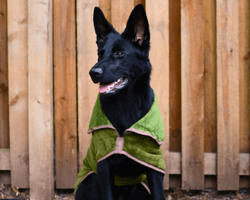 Refresh Drying Dog Coat (Henry Wag) - SnowPaw Store - Henry Wag - Active Dog Gear