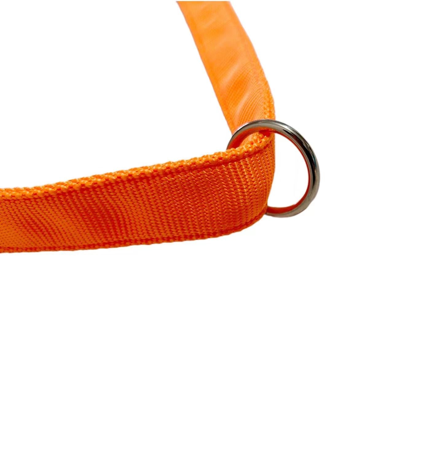 Replacement Webbing Strap for Multi - Sport (VIP Dogwear) - SnowPaw Store - VIP Dogwear - Sled Dog Equipment