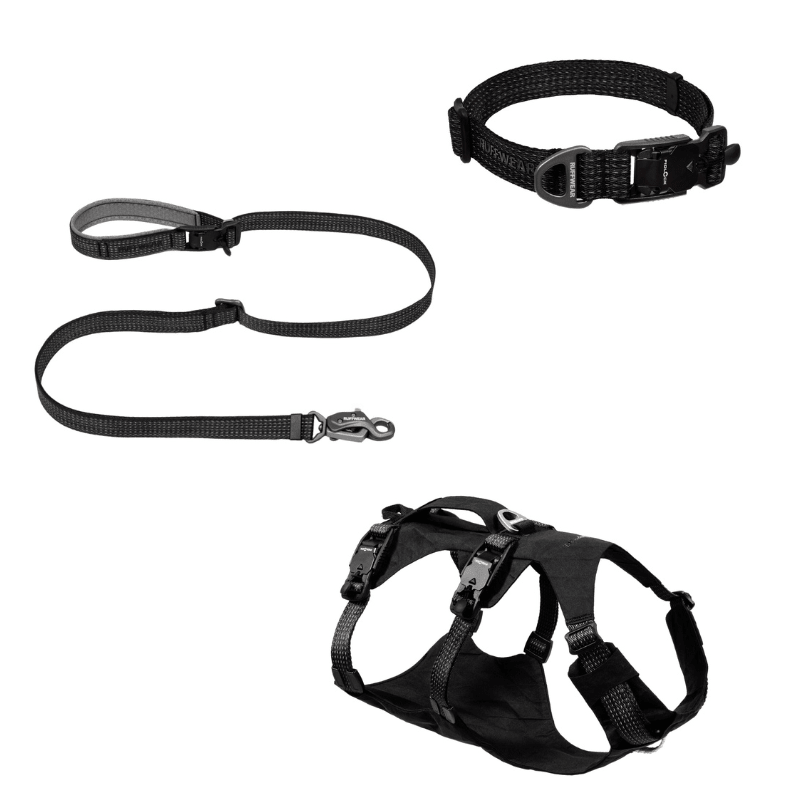 Ridgeline Harness, Collar & Lead (Ruffwear) - SnowPaw Store - Ruffwear - Active Dog Gear