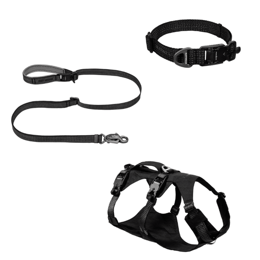 Ridgeline Harness, Collar & Lead (Ruffwear) - SnowPaw Store - Ruffwear - Active Dog Gear