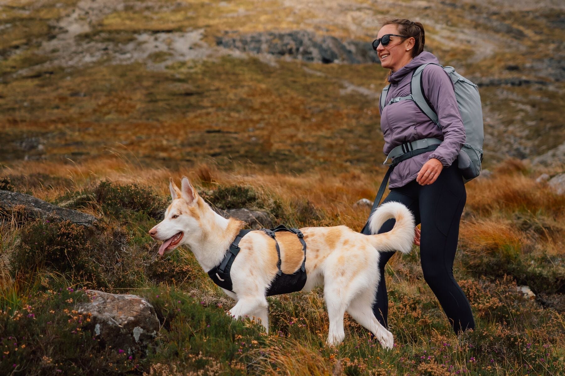 RIDGELINE™ HARNESS (Ruffwear) - SnowPaw Store - Ruffwear - Dog Harness