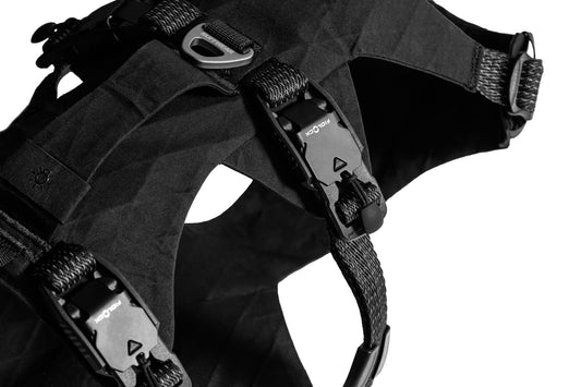 RIDGELINE™ HARNESS (Ruffwear) - SnowPaw Store - Ruffwear - Dog Harness