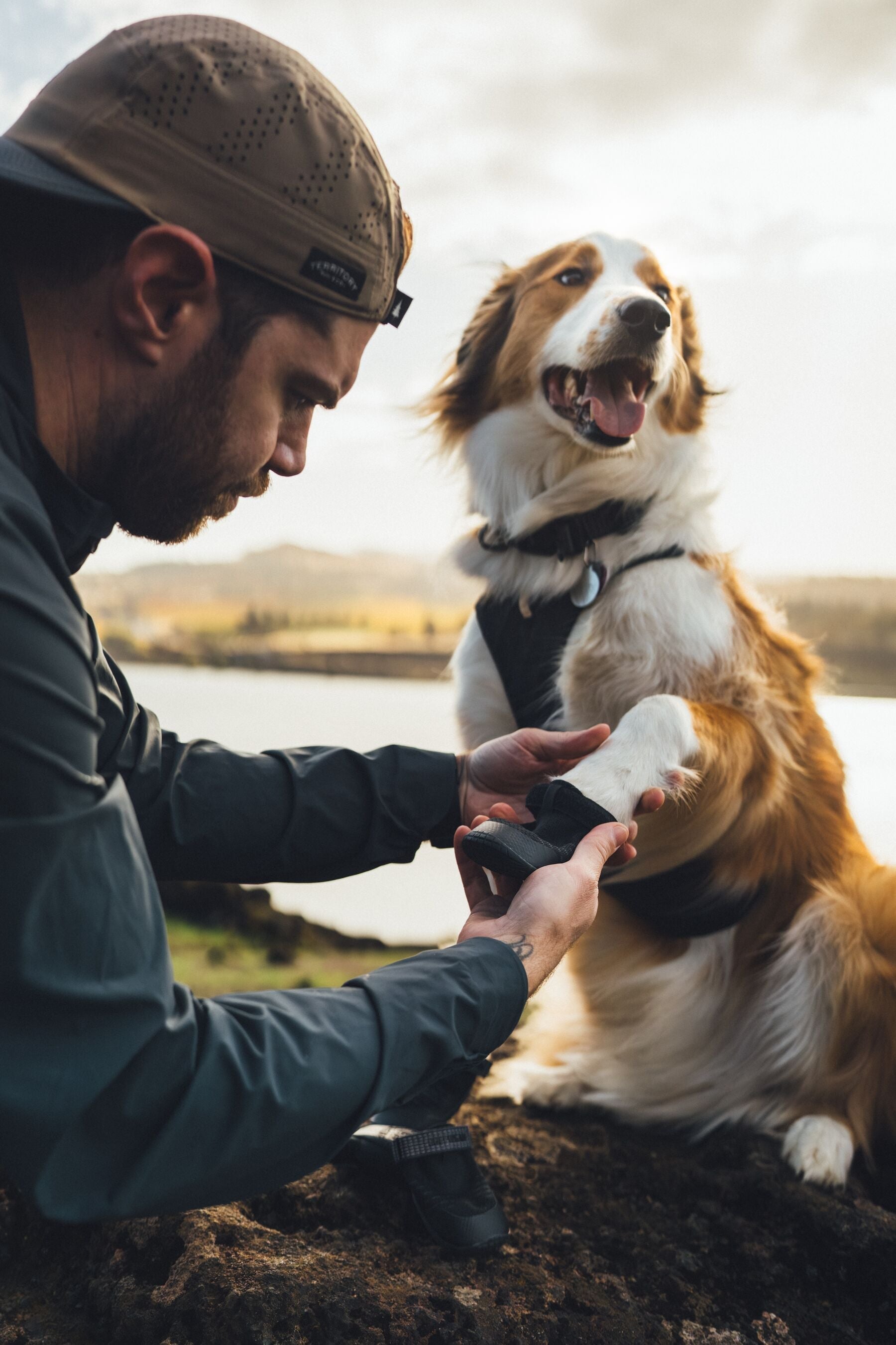 Ridgeline™ Shoes (Ruffwear) - SnowPaw Store - Ruffwear - Dog Boots