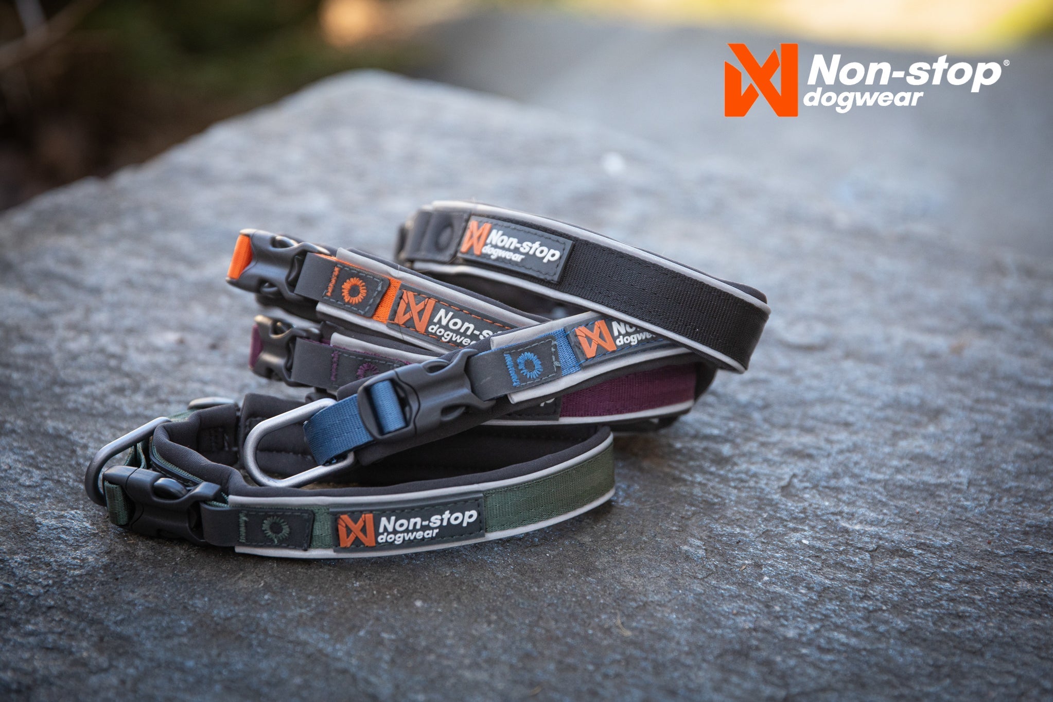 Roam Dog Collar (Non - Stop Dogwear) - SnowPaw Store - Non - Stop Dogwear - Dog Collars