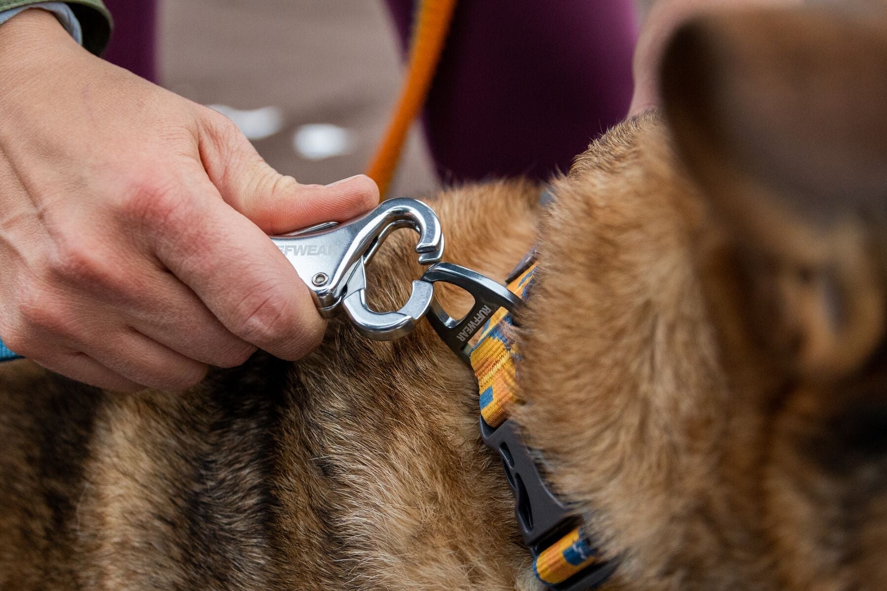 Roamer Leash (Ruffwear) - SnowPaw Store - Ruffwear - Dog Collars, Leads, Belts