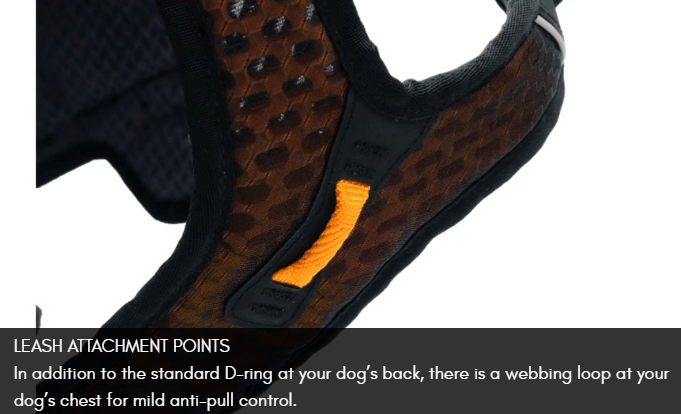 Rock Harness Long (Non - Stop Dogwear) - SnowPaw Store - Non - Stop Dogwear - Dog Harness