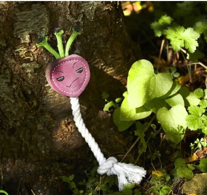 Ruby the Radish (Green & Wilds) - SnowPaw Store - Green & Wilds - Dog Toys