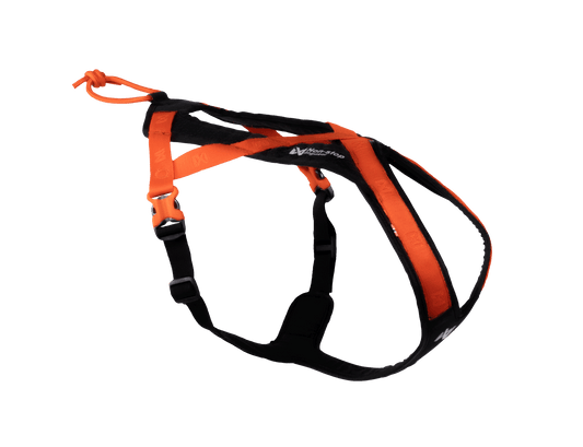 Rush Harness (Non - Stop Dogwear) - SnowPaw Store - Non - Stop Dogwear - Dog Harness