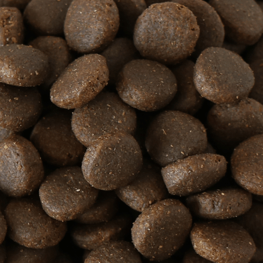 Salmon and Veg Dry Dog Food (Millies Wolfheart) - SnowPaw Store - Millies Wolfheart - Dog Food