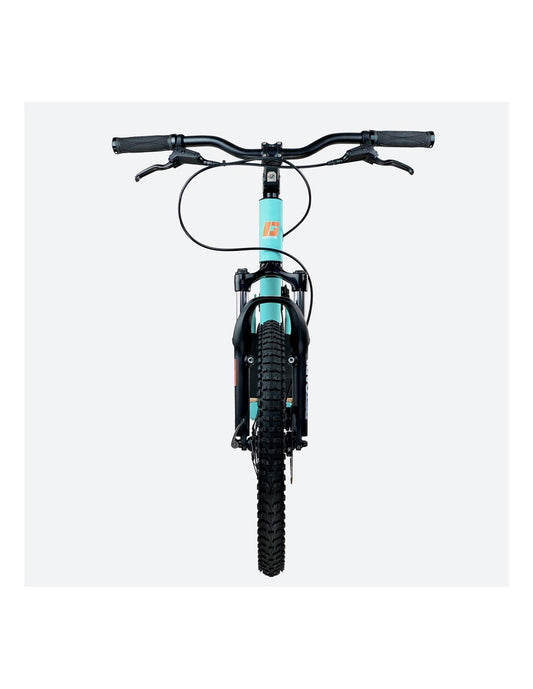Scooter for kids GRAVITY PIXIES (Gravity Scooters) - SnowPaw Store - Gravity Scooters - Dog Scooters