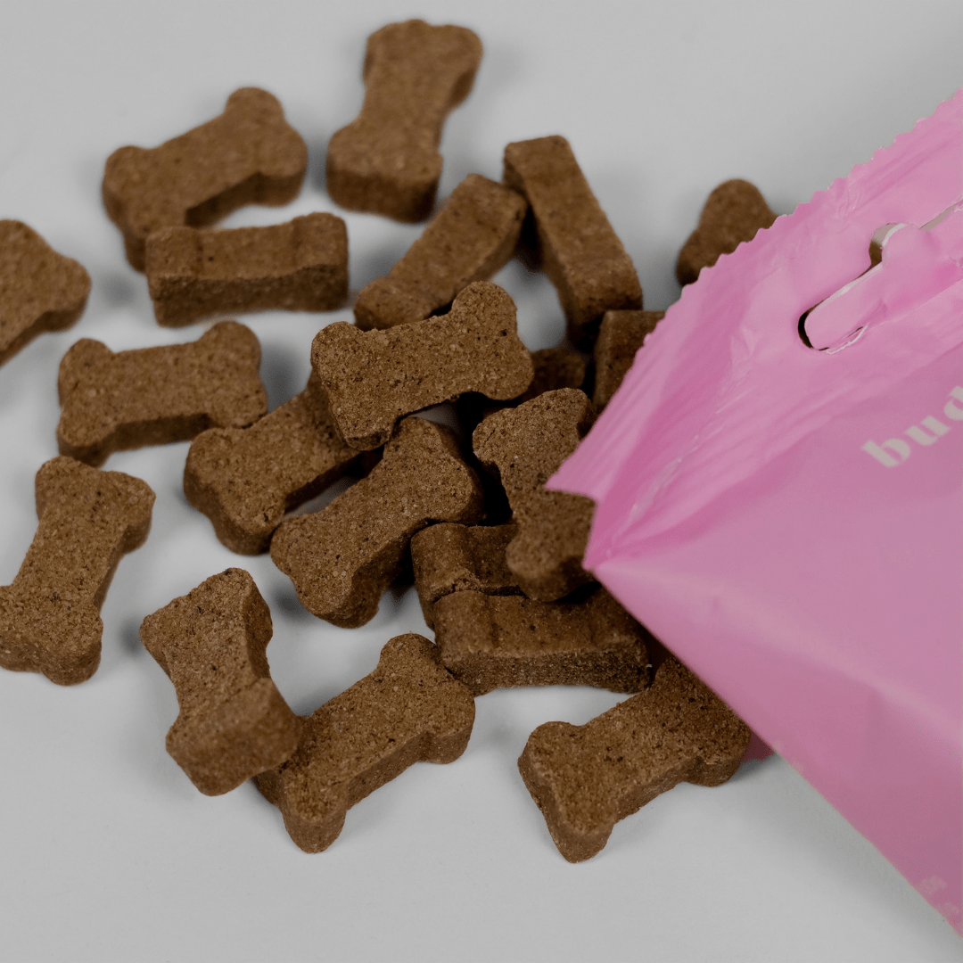 Serrano Chicken Treats (Buddylicious) - SnowPaw Store - Buddylicious - Dog Food