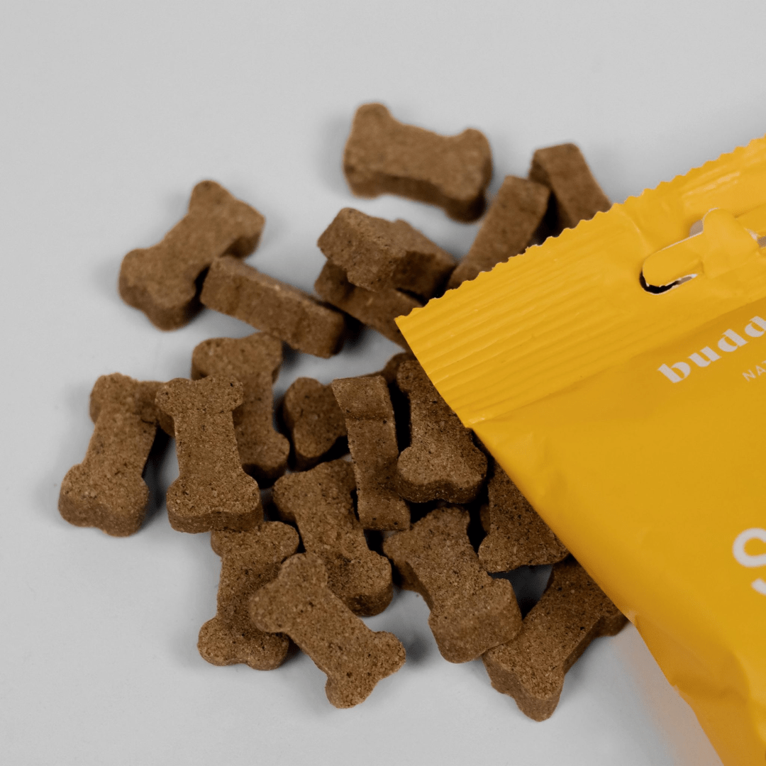 Serrano Turkey Treats 100g (Buddylicious) - SnowPaw Store - Buddylicious - Dog Food