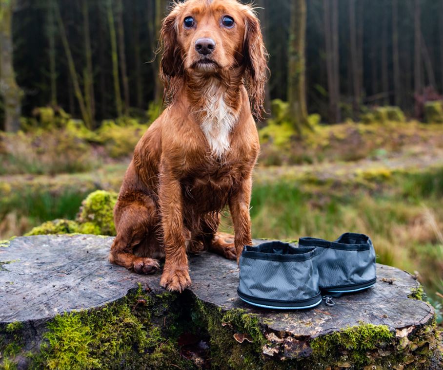 Snaffle Set of Folding Travel Bowls (Henry Wag) - SnowPaw Store - Henry Wag - Active Human Gear