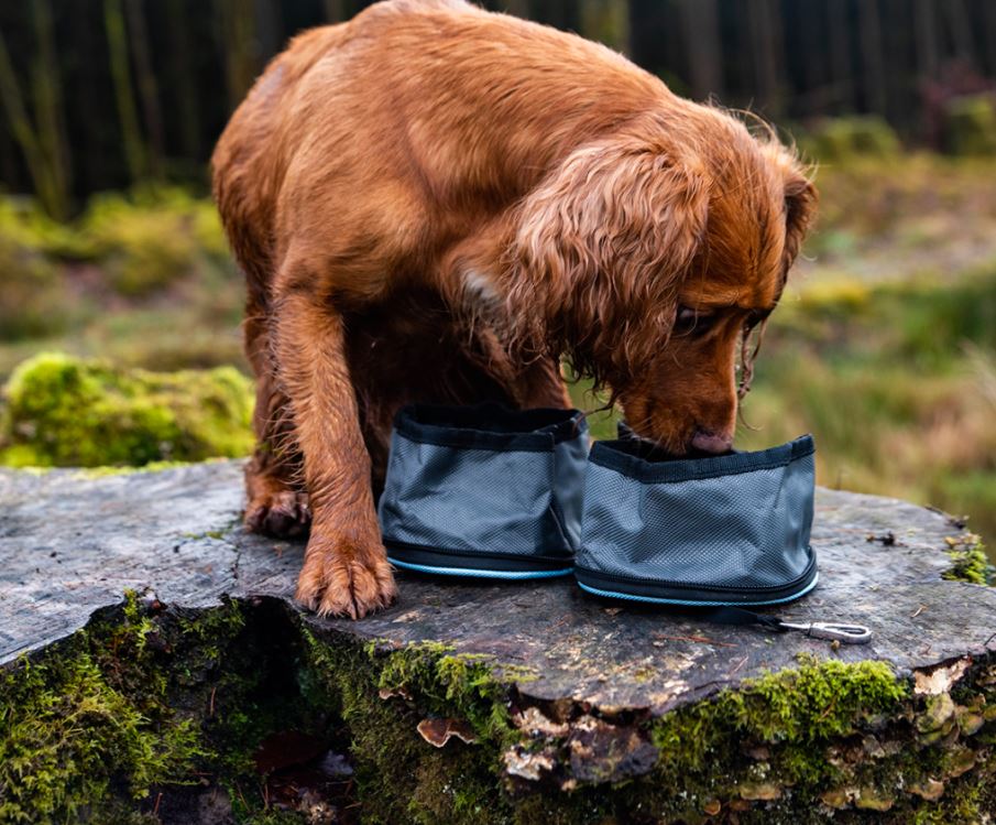 Snaffle Set of Folding Travel Bowls (Henry Wag) - SnowPaw Store - Henry Wag - Active Human Gear