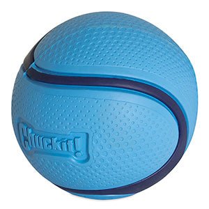 Sniff Fetch Ball (Chuck it) - SnowPaw Store - Chuck it! - Dog Toys