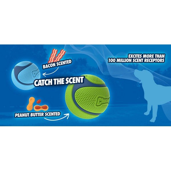 Sniff Fetch Ball (Chuck it) - SnowPaw Store - Chuck it! - Dog Toys