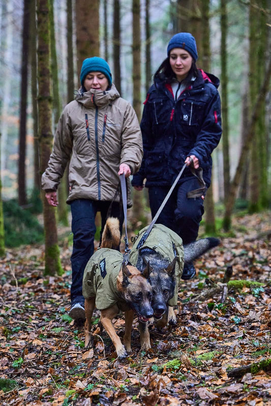 Solid leash WD (Non Stop Dogwear) - SnowPaw Store - Non - Stop Dogwear - Dog Lead