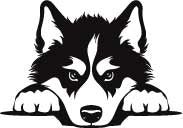 Stainless Steel Mug with Dogs Head (Snowpaw Engraving) - SnowPaw Store - SnowPaw Store - Gifts