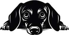 Stainless Steel Mug with Dogs Head (Snowpaw Engraving) - SnowPaw Store - SnowPaw Store - Gifts