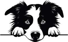 Stainless Steel Mug with Dogs Head (Snowpaw Engraving) - SnowPaw Store - SnowPaw Store - Gifts