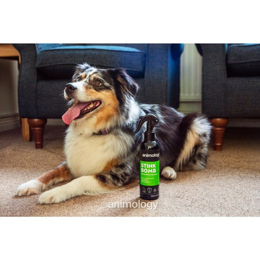 Stink Bomb Refreshing Spray (Animology) - SnowPaw Store - Animology - Food & Health