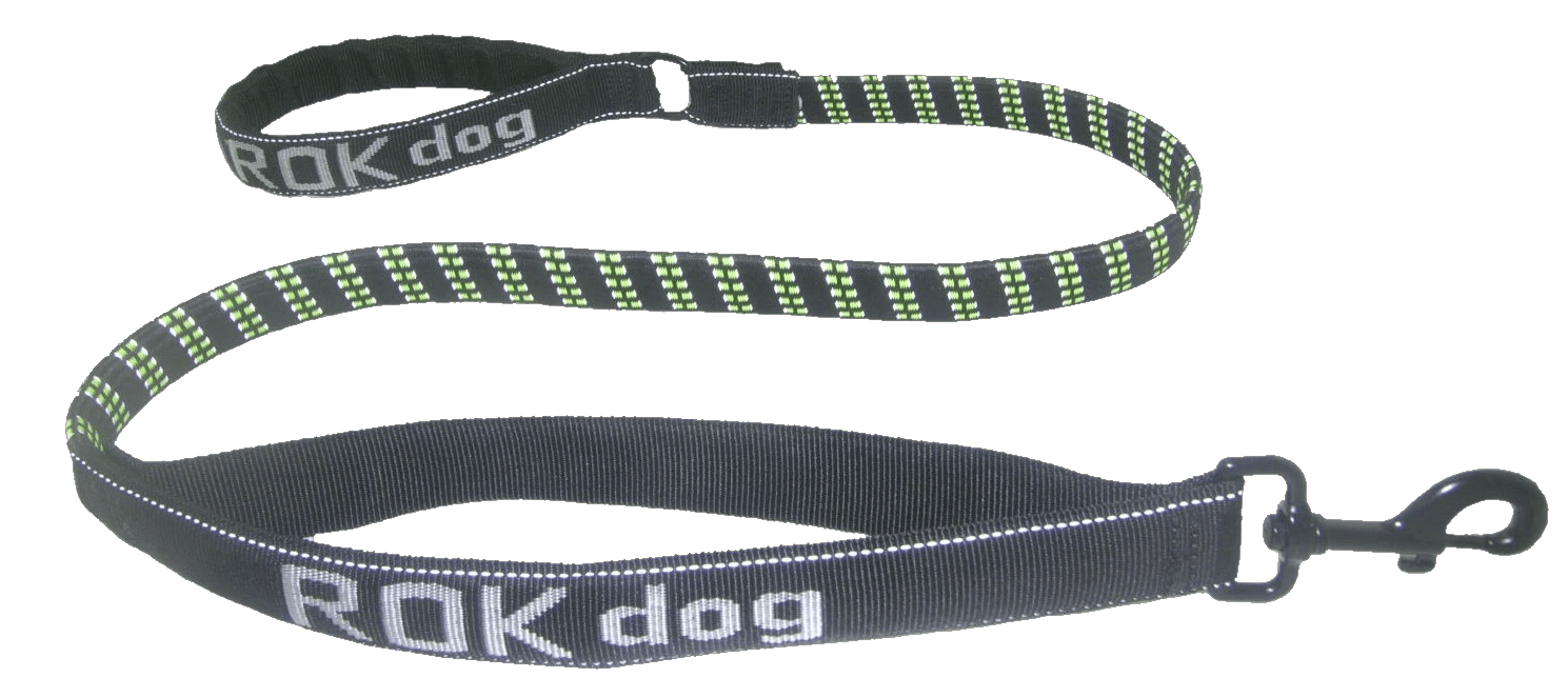 Stretch Dog Lead and Padded Collar (ROK™) - SnowPaw Store - ROK Straps - Dog Lead