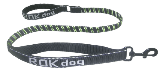 Stretch Dog Lead and Padded Collar (ROK™) - SnowPaw Store - ROK Straps - Dog Lead