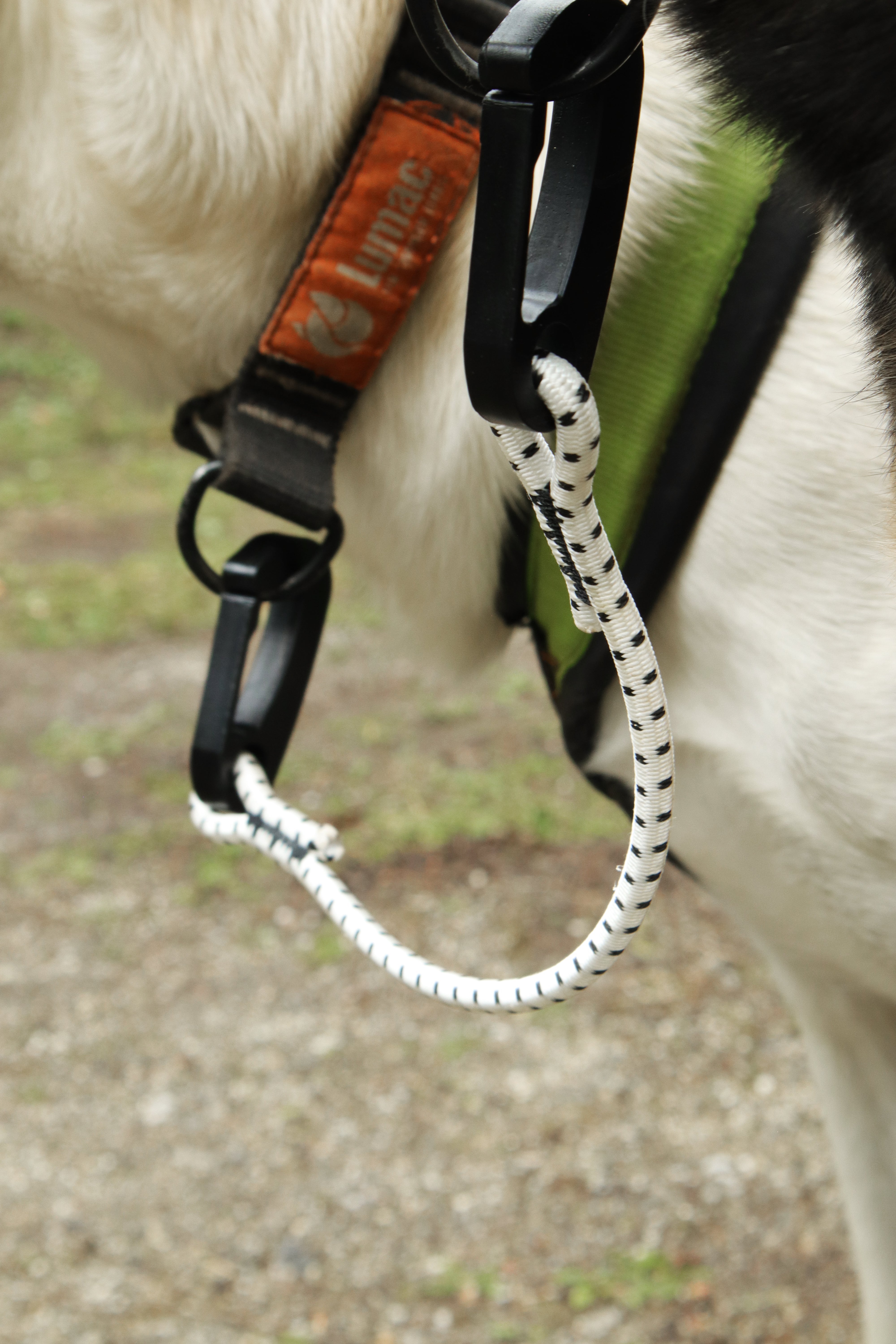 Stretchy Neckline (Lumac) - SnowPaw Store - Lumac - Bike, Scooter Accessories