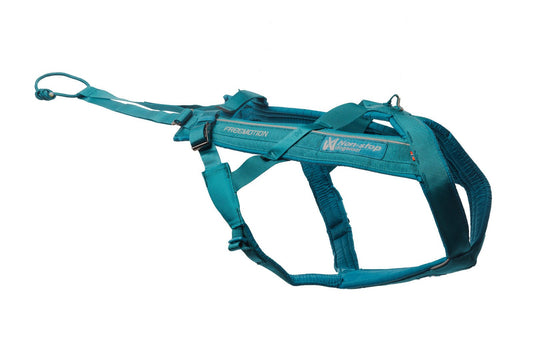 Teal Canicross Kit (Non - Stop Dogwear) - SnowPaw Store - Non - Stop Dogwear - Canicross