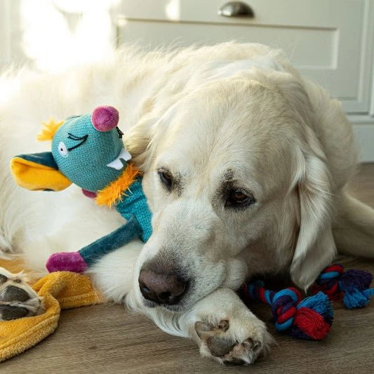 Teal Tails Dog Toys - SnowPaw Store - Animal Instincts - Dog Toys