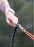 Terra MINI Canicross Line (Lumac) - SnowPaw Store - Lumac - Canicross