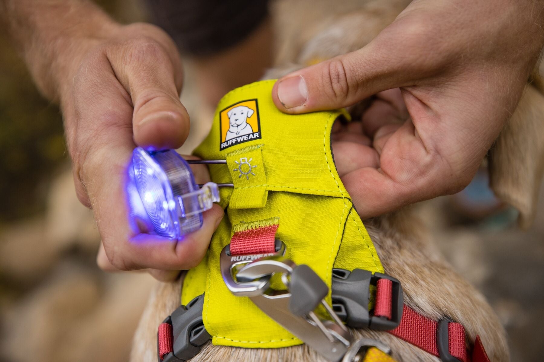 The Beacon Safety Light (Ruffwear) - SnowPaw Store - Ruffwear - Active Dog Gear