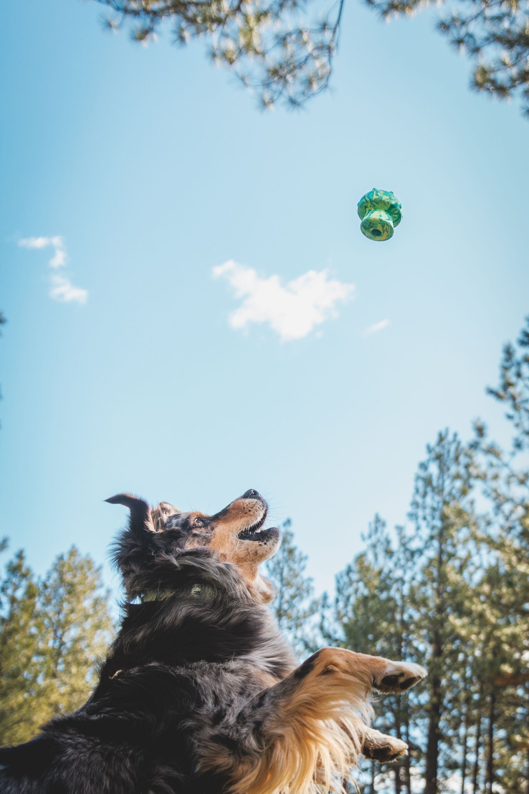 Toadstool Toy (Ruffwear) - SnowPaw Store - Ruffwear - Dog Toys