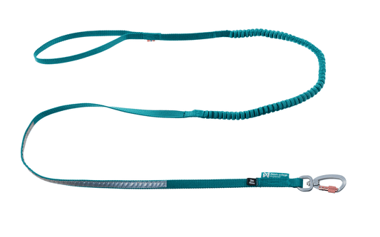 Touring Bungee Leash (Non - Stop Dogwear) - SnowPaw Store - Non - Stop Dogwear - Dog Collars, Leads, Belts