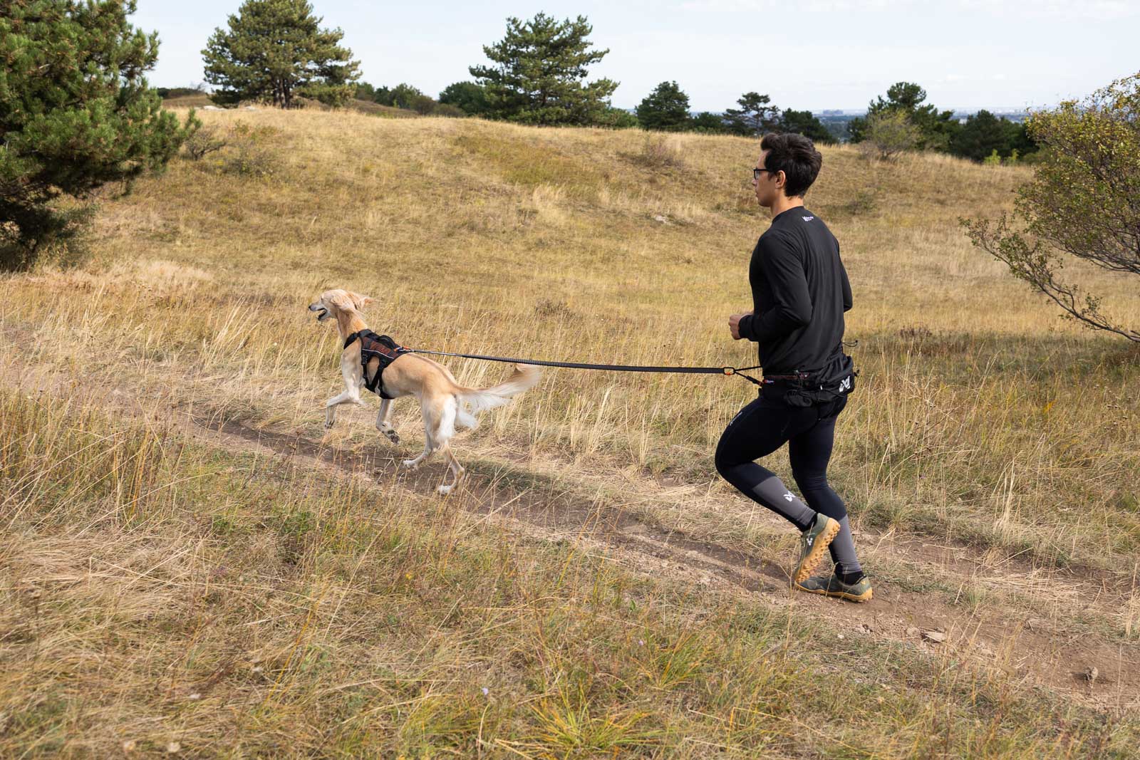 Trail Light Belt (Non - Stop Dogwear) - SnowPaw Store - Non - Stop Dogwear - Dog Collars, Leads, Belts