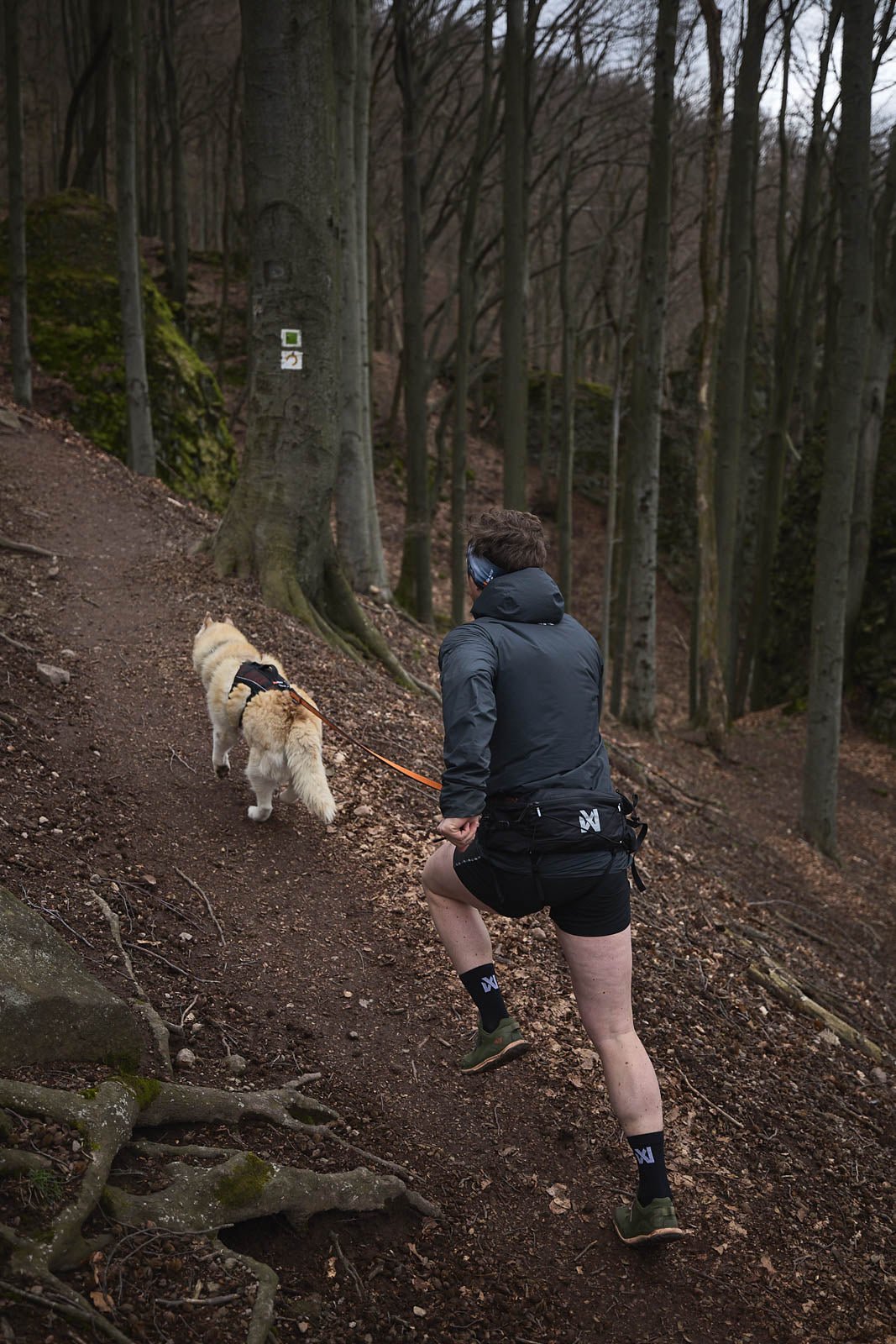 Trail Light Belt (Non - Stop Dogwear) - SnowPaw Store - Non - Stop Dogwear - Dog Collars, Leads, Belts