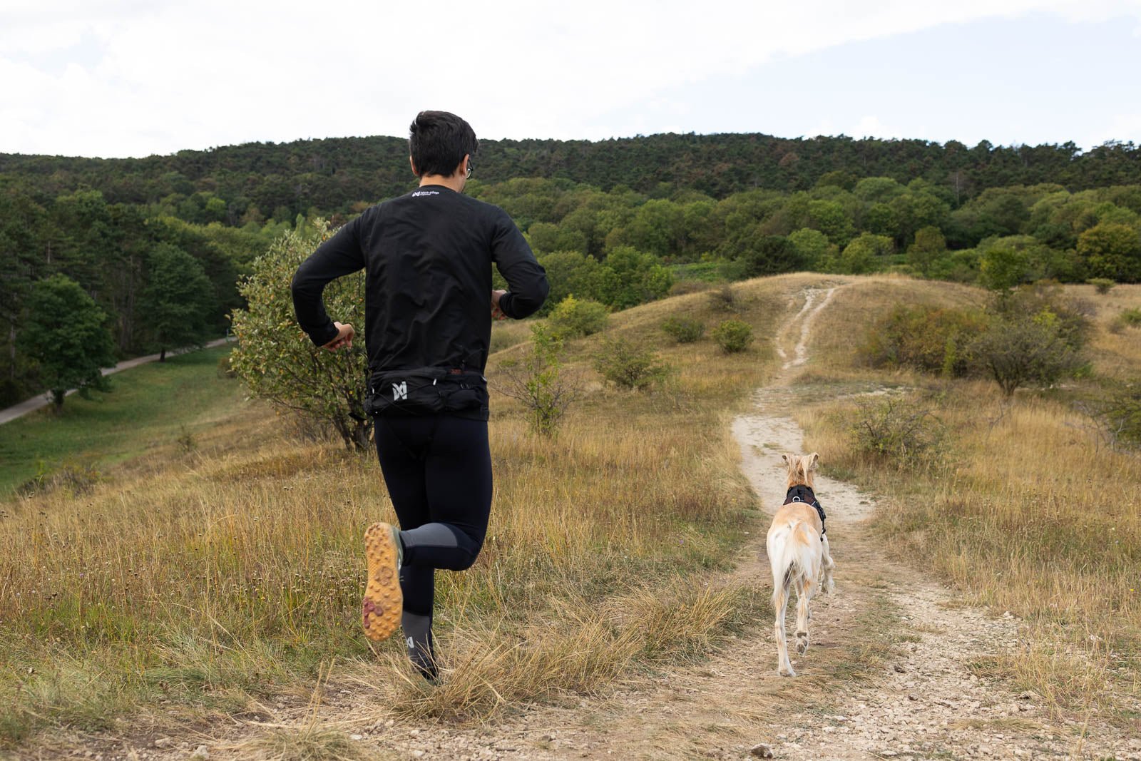 Trail Light Belt (Non - Stop Dogwear) - SnowPaw Store - Non - Stop Dogwear - Dog Collars, Leads, Belts