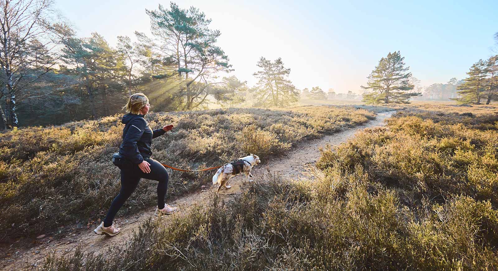 Trail Light Belt (Non - Stop Dogwear) - SnowPaw Store - Non - Stop Dogwear - Dog Collars, Leads, Belts