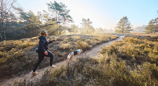 Trail Light Belt (Non - Stop Dogwear) - SnowPaw Store - Non - Stop Dogwear - Dog Collars, Leads, Belts