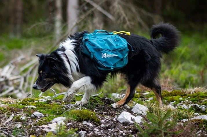 Trail Quest Dog Backpack (Non - Stop Dogwear) - SnowPaw Store - Non - Stop Dogwear - Active Dog Gear