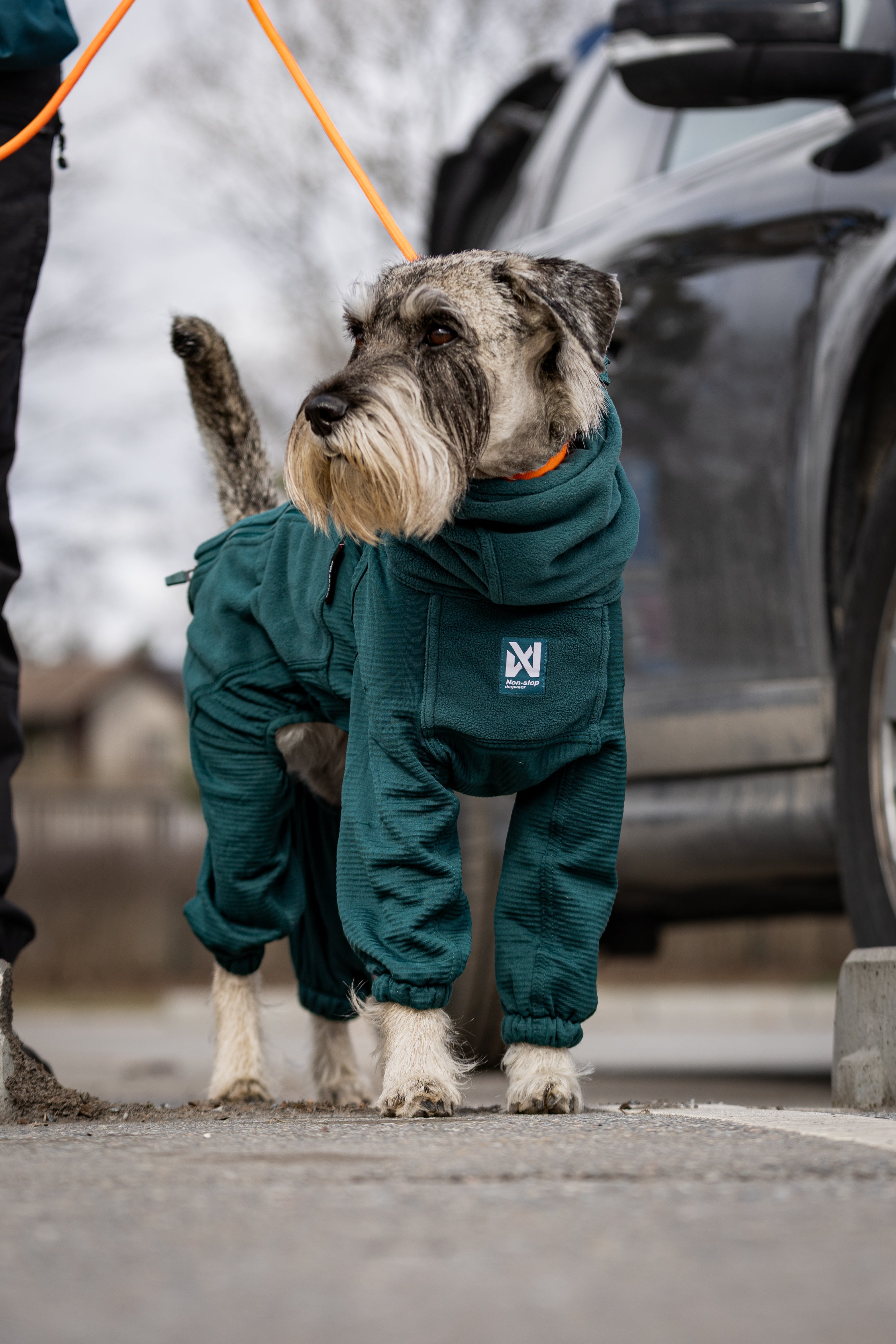 Trail Quest Fleece Overall (Non-Stop Dogwear) - SnowPaw Store - Non-Stop Dogwear - Active Dog Gear
