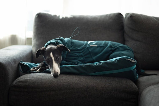 Trail Quest Fleece Overall (Non-Stop Dogwear) - SnowPaw Store - Non-Stop Dogwear - Active Dog Gear