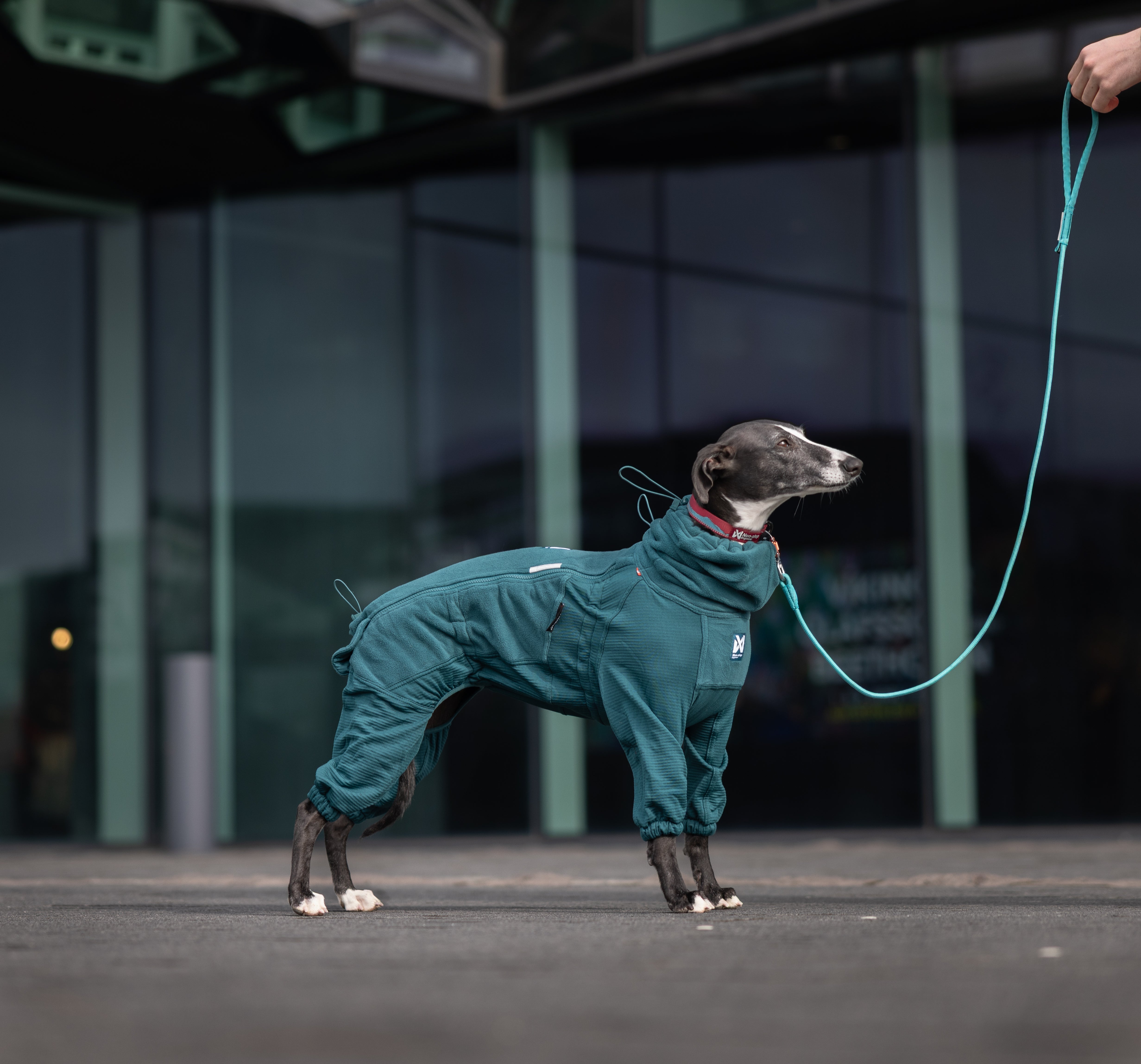 Trail Quest Fleece Overall (Non-Stop Dogwear) - SnowPaw Store - Non-Stop Dogwear - Active Dog Gear