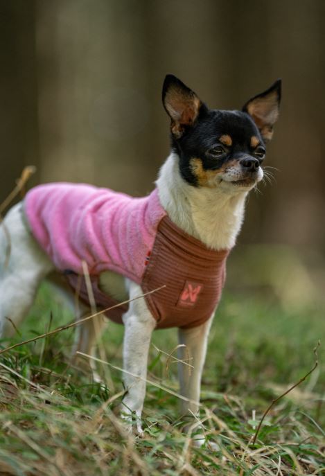 Trail Quest Fleece Pullover (Non - Stop Dogwear) - SnowPaw Store - Non - Stop Dogwear - Dog Apparel