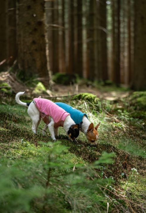 Trail Quest Fleece Pullover (Non - Stop Dogwear) - SnowPaw Store - Non - Stop Dogwear - Dog Apparel