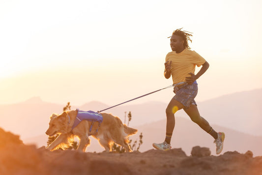 Trail Runner™ Dog Leash (Ruffwear) - SnowPaw Store - Ruffwear - Dog Lead