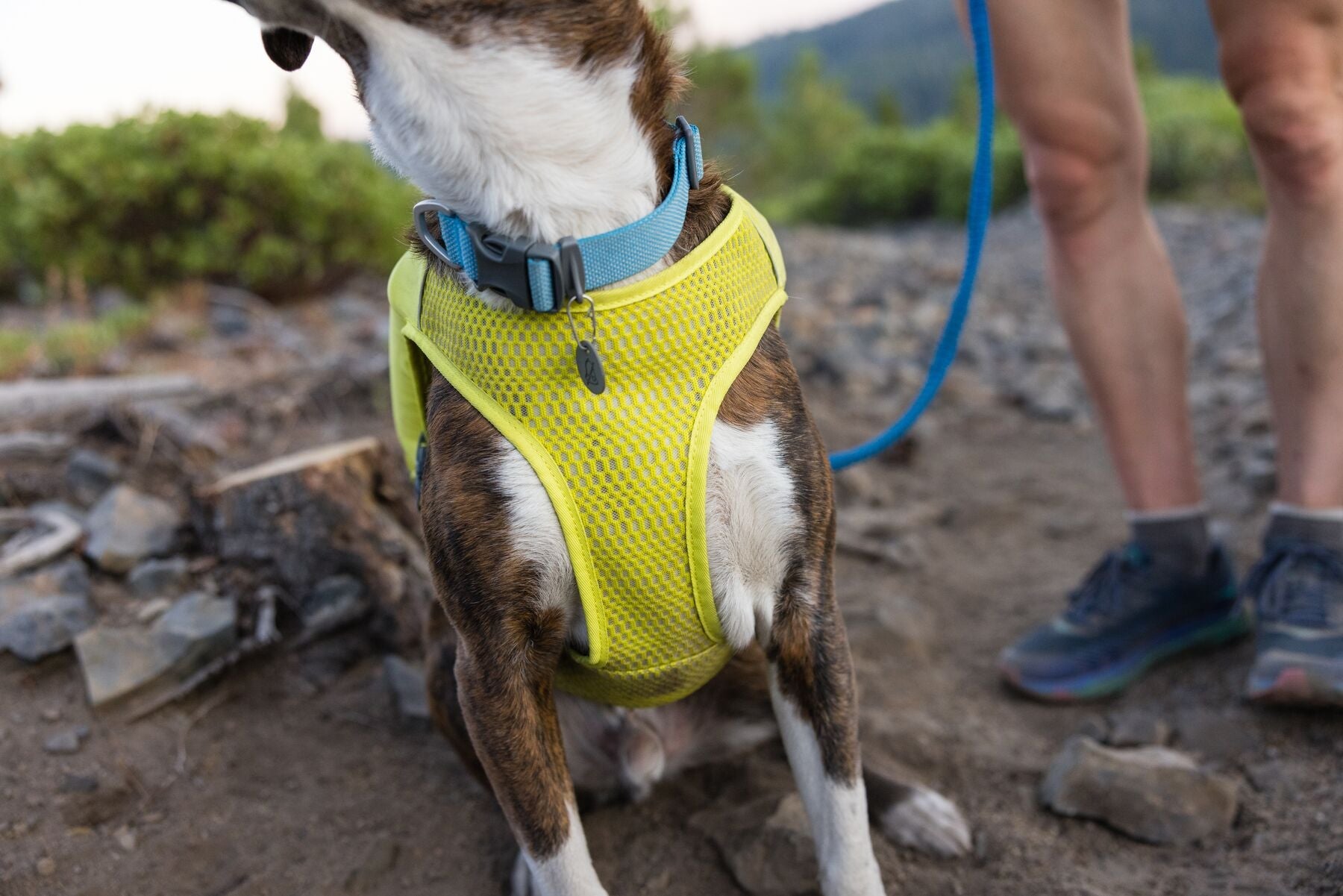 Trail Runner™ Dog Running Vest (Ruffwear) - SnowPaw Store - Ruffwear - Dog Harness